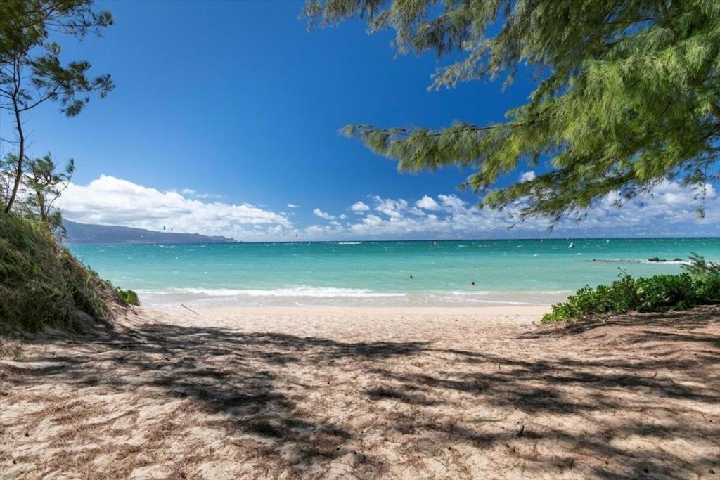 Unit 14 Maui Ohana Modern Studio Wailuku Exteriör bild